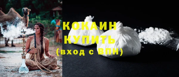 бошки Пересвет