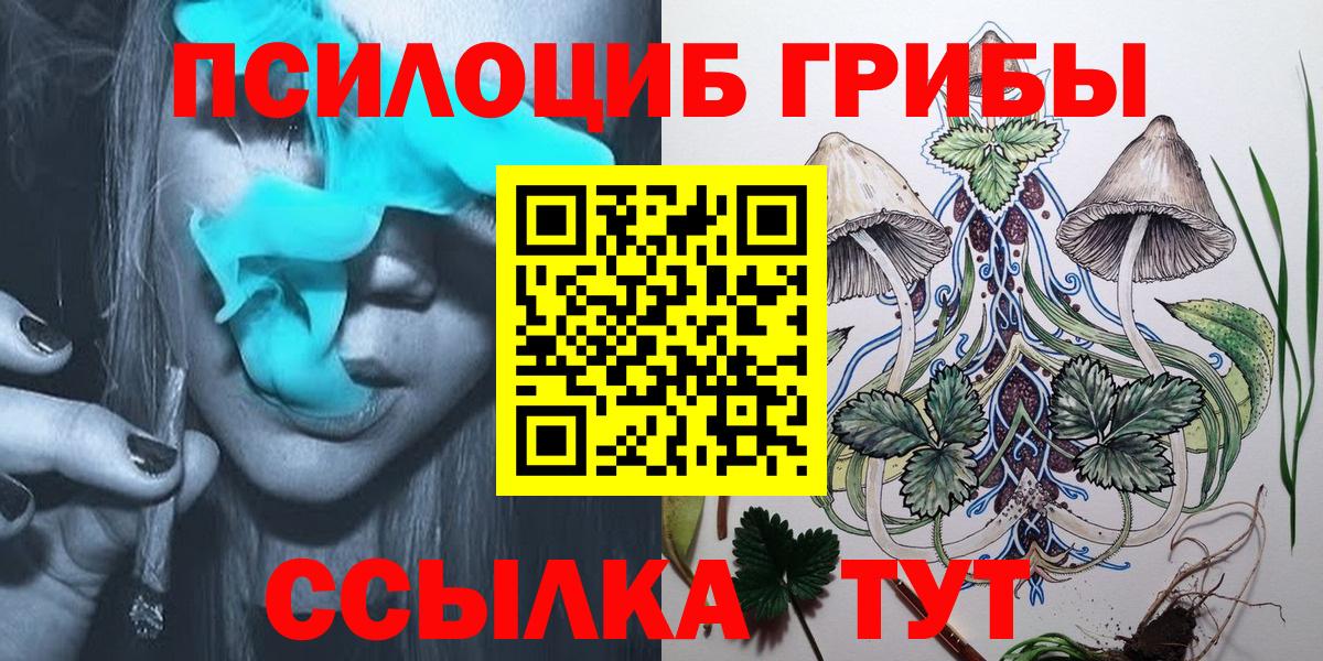 Галлюциногенные грибы Cubensis  наркошоп  Снежинск  Вход с VPN 