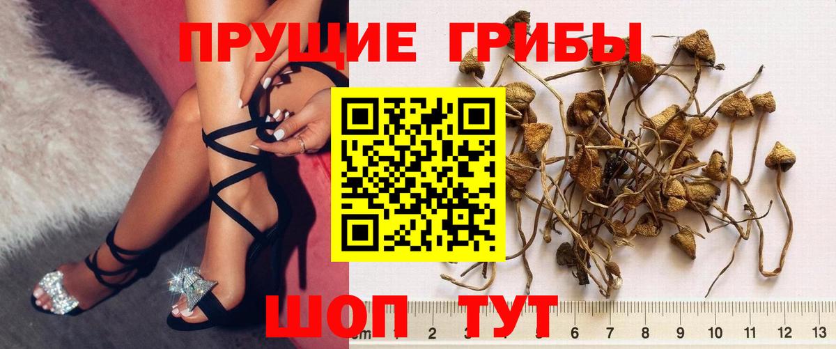 Галлюциногенные грибы Cubensis Снежинск